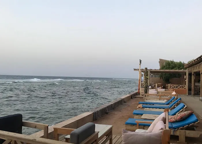 Moon El Mashraba *